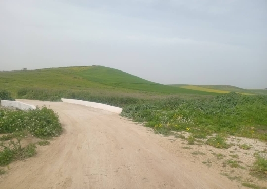 للبيع قطع أرض في سيدي ثابت-شرفش