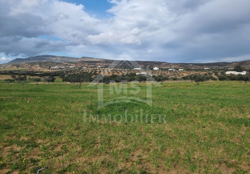 Terrain de 1 hectare à vendre à Hammamet 51355351