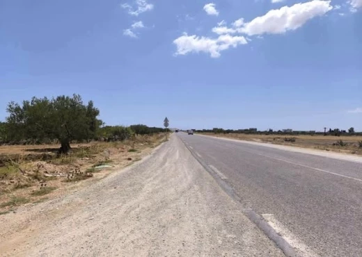 terrain À Vendre à MONASTIR - un terrain agricole - Immobiliere.tn - Photo 4