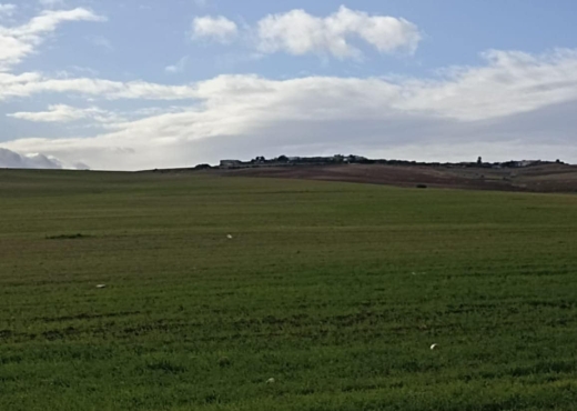 30 hectares pour  a tous les arbre