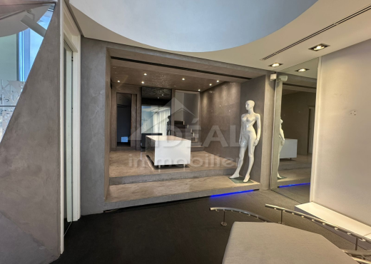 AL LOCAL COMMERCIAL AU LAC1