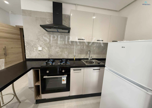 Location Appartement Aura S+1