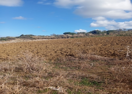 📍🌿 Terrain 2329 m² à Béjou – Ghar El Melh