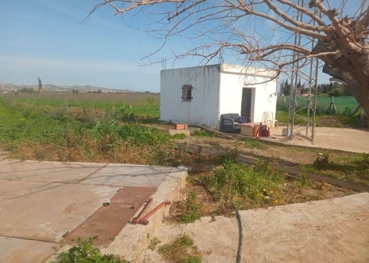 للبيع فيرمة لوز و زيتون و غلال أخرى