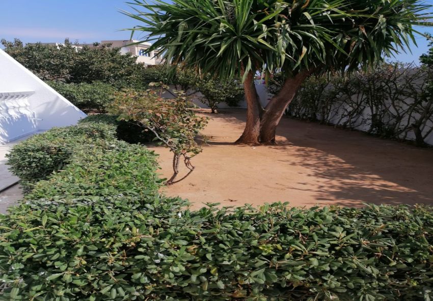 villa À Vendre à BEN AROUS - A vendre une villa  S+3 à Boumhel - Immobiliere.tn - Photo 5