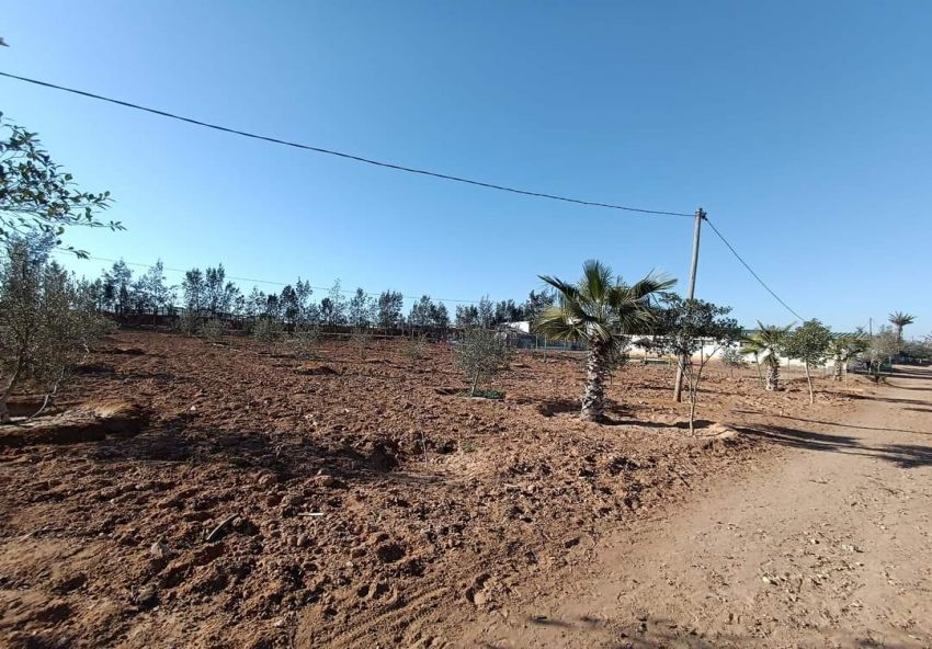 A vendre Ferme avec villa à Sfax Route Gremda