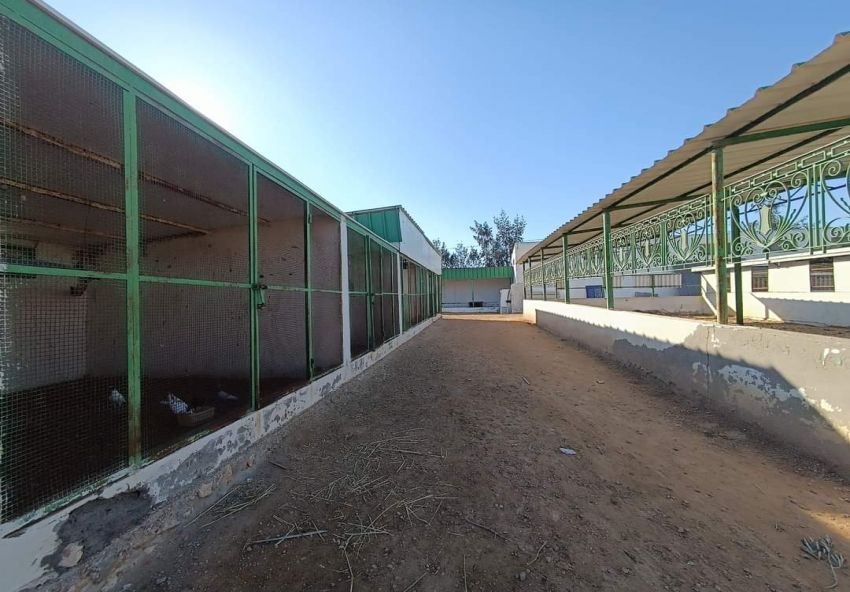 A vendre Ferme avec villa à Sfax Route Gremda