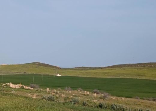 terrain