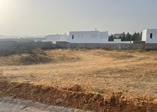 terrain a vendre a hammamet sud Monchar