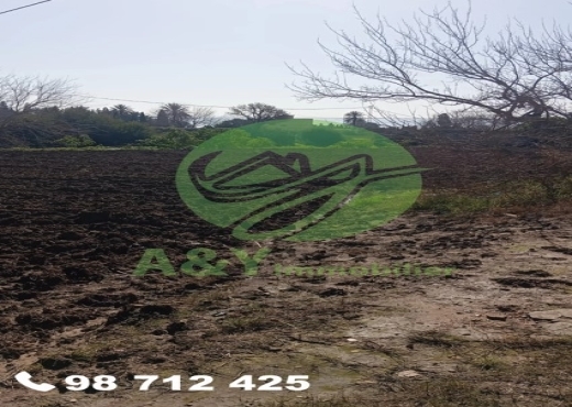 🌿🌳 Terrain agricole à vendre – Gharel Melh 🌳🌿