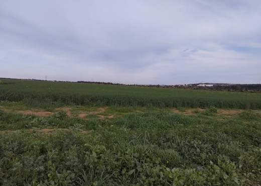 للبيع قطعة أرض جميلة جدا في موقع ممتاز