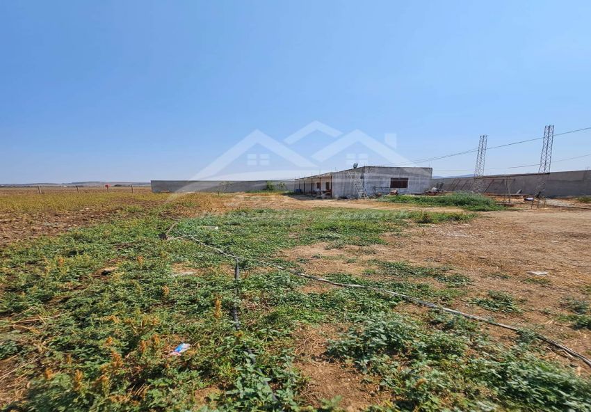 A vendre terrain agricole avec 2 écuries a Khitmine Bizerte
