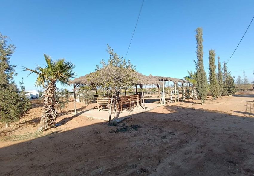 A vendre Ferme avec villa à Sfax Route Gremda