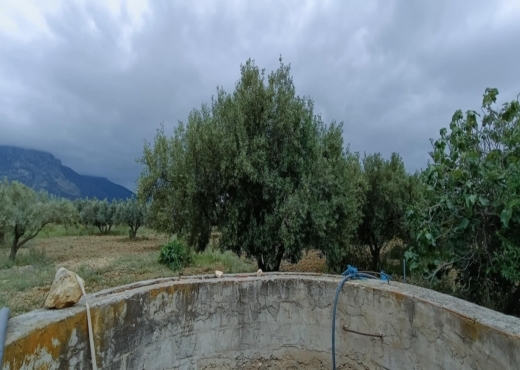 terrain agricole