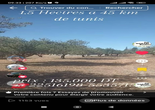 Un hectare et demi avec d'oliviers