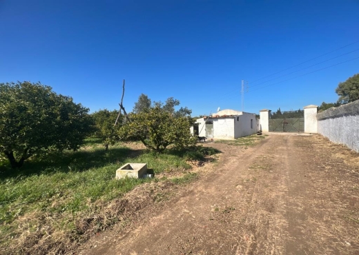 à vendre ferme