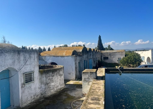 à vendre ferme