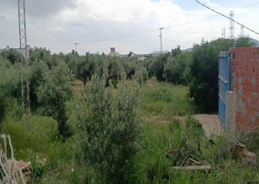 terrain À Vendre à ZAGHOUAN - terrain à vendre comprenant une villa - Immobiliere.tn - Photo 5