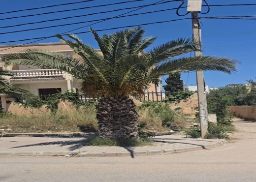 terrain À Vendre à SOUSSE - Terrain ( villa veille) à kantaoui - Immobiliere.tn - Photo 8