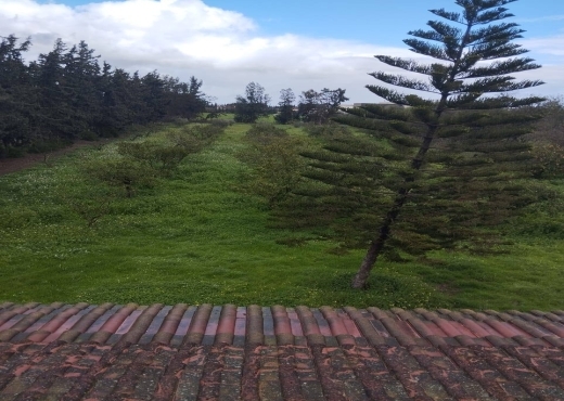 للبيع فيرمة جاهزة + فيلا