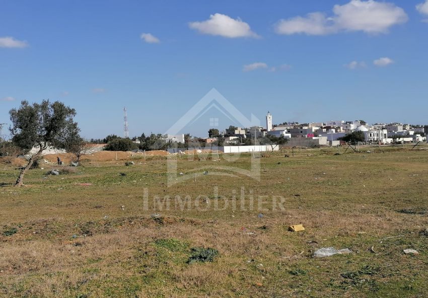 Lot de terrain à vendre à Hammamet à 55 MD 51355351