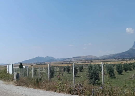 terrain À Vendre à ZAGHOUAN - TERRAIN AGRICOLE A VENDRE - Immobiliere.tn - Photo 5