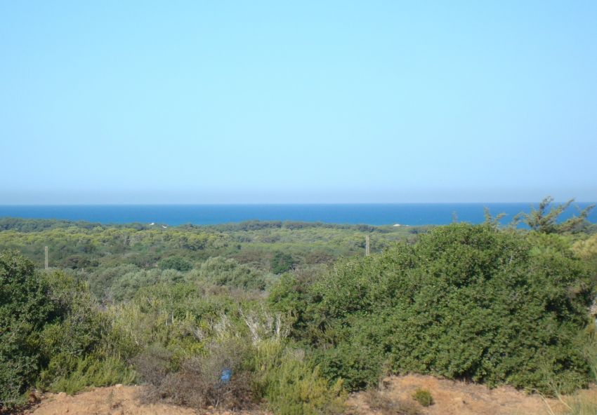 Hectare pied dans l'eau Rtiba, takelsa