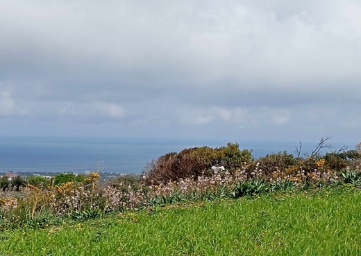 TERRAIN À METLINE – ROUTE PRINCIPALE 🌊