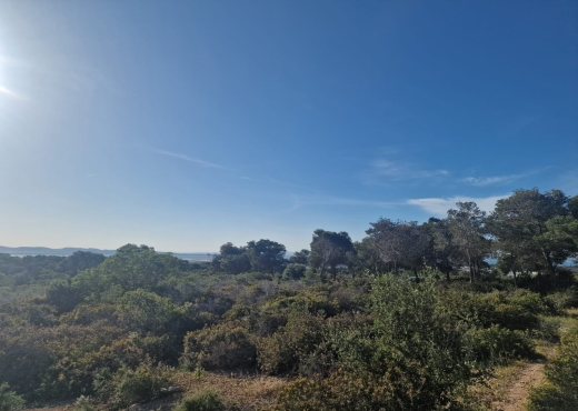 Terrain à Gammarth – El Marsa