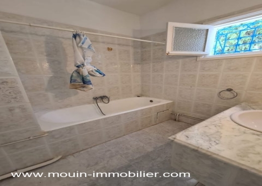 DUPLEX LES TULIPES AV1923