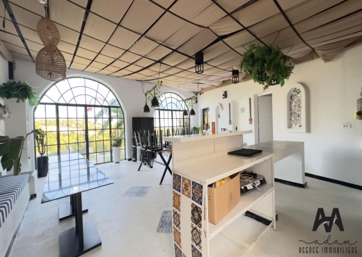 Maison d’Hôtes s+2 à Hammamet