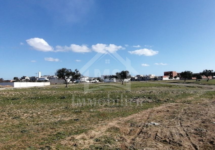 Lot de terrain à vendre à Hammamet à 55 MD 51355351