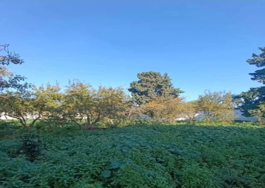 terrain À Vendre à SOUSSE - Àvendre terrain et villa de 3700 - Immobiliere.tn
