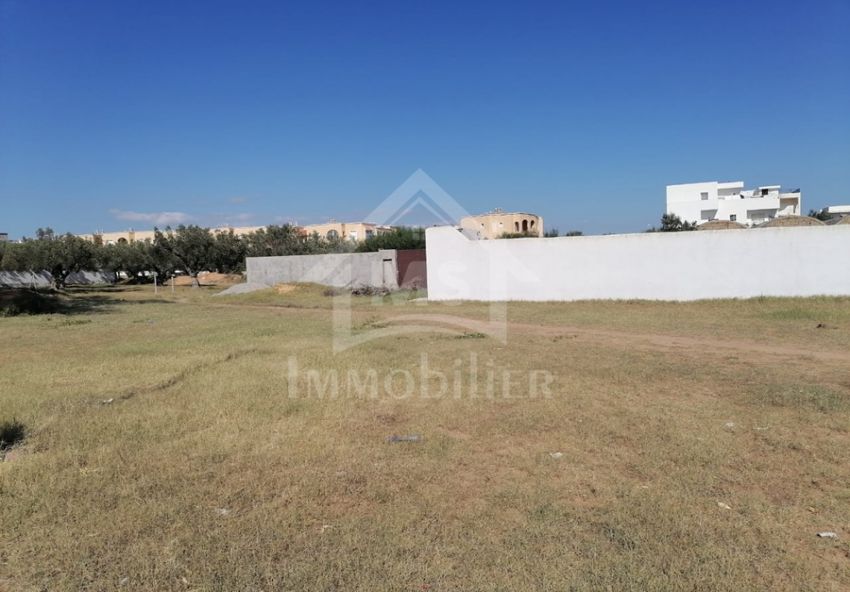 Terrain de 555 m² à vendre à Hammamet Sud à 555 MD 51355351