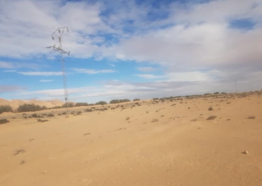 terrain À Vendre à GAFSA - Terrains pour PROJETS PHOTOVOLTAÏQUE - Immobiliere.tn
