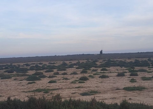 AV terrain elkhomssa hamammet sud