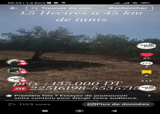 Un hectare et demi avec d'oliviers