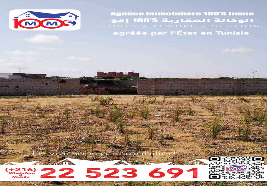 terrain À Vendre à NABEUL - Terrain A ne pas ratez El Haouaria - Immobiliere.tn - Photo 2