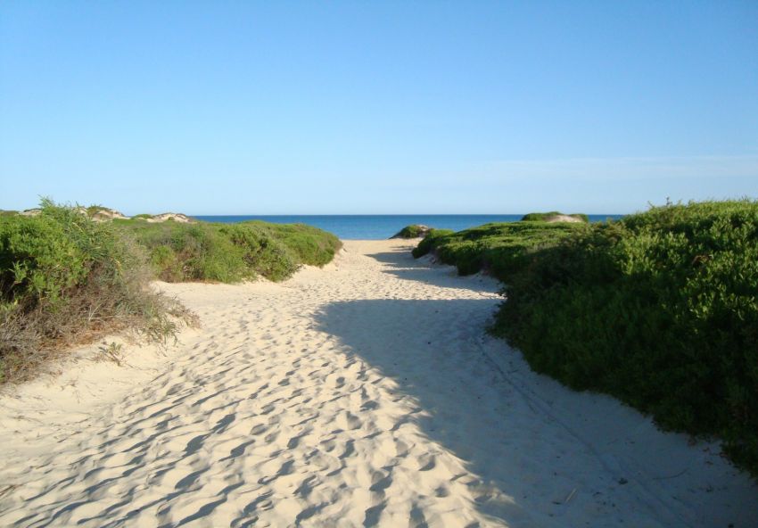 Terrain situé à la plage Rtiba, 1ére position