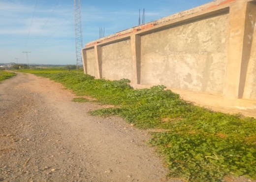 للبيع قطعة أرض في السعيدة-وادي الليل