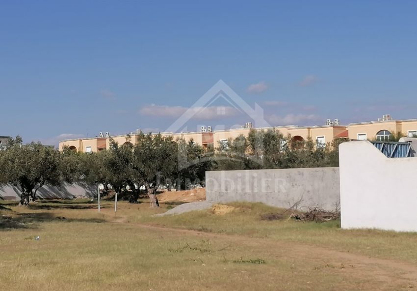 Terrain de 555 m² à vendre à Hammamet Sud à 555 MD 51355351