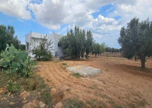 maison hamammet sud 1100m