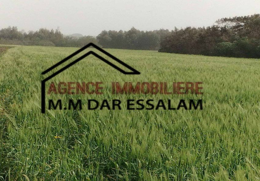 terrain agricole à vendre