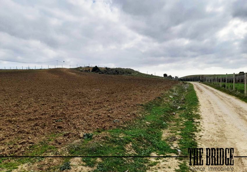 1.2 Hectares nu à Bouargoub