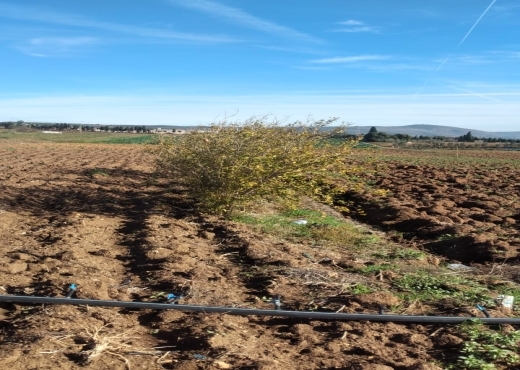 Terrain agricole constructible à Ghar El Melh
