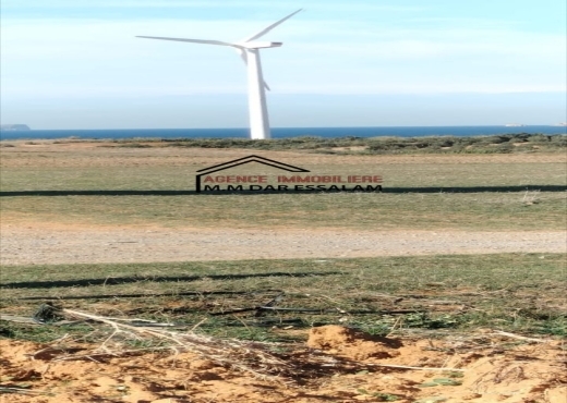 terrain près de la mer
