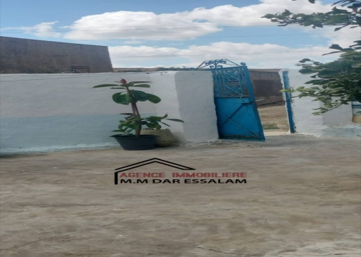 maison avec piscine à vendre