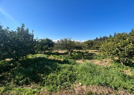 à vendre ferme