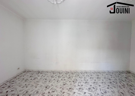Grande Maison 7 Chambres 2 Locaux