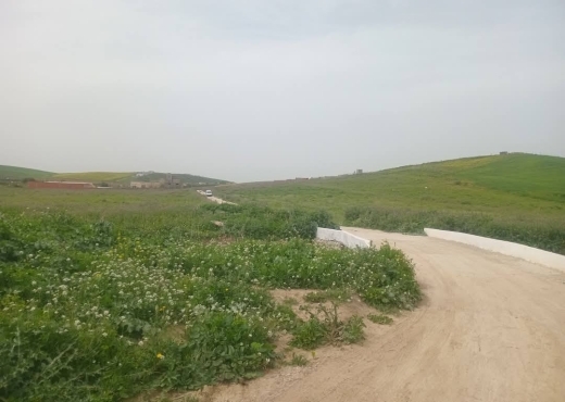 للبيع قطع أرض في سيدي ثابت-شرفش
